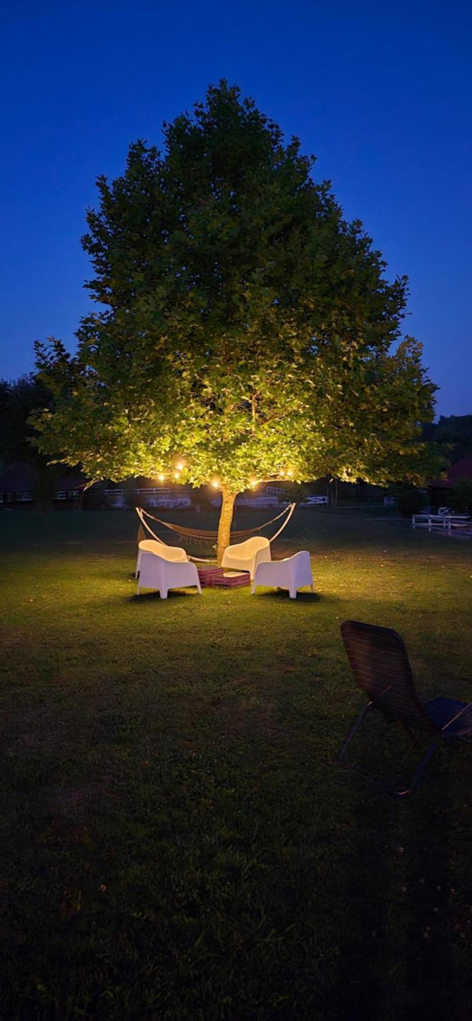 Farm stay Gosciniec Husarski Sandomierz