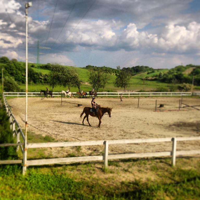 Farm stay Gosciniec Husarski Sandomierz